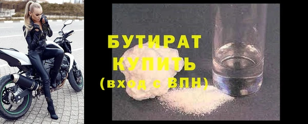 сатива Бородино