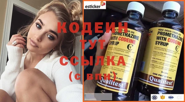 сатива Бородино