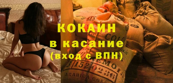 сатива Бородино