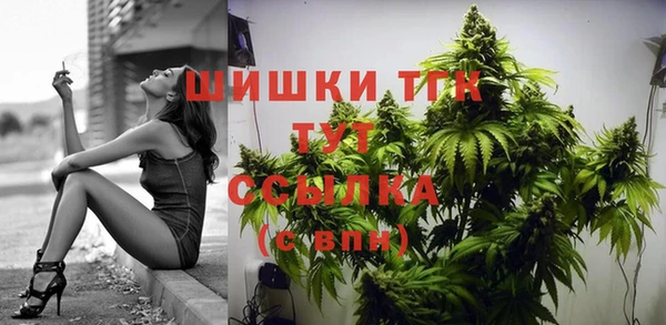 2c-b Белокуриха