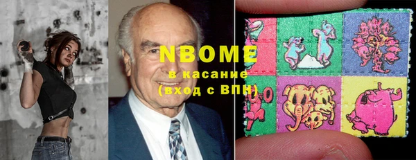 сатива Бородино