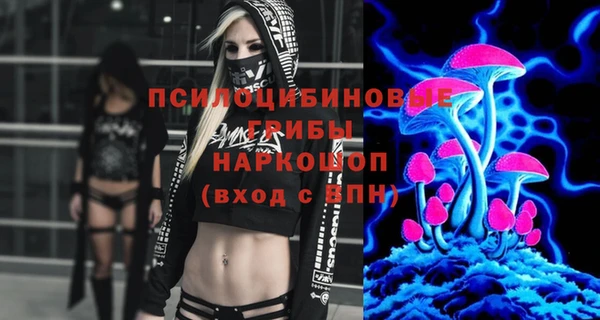 сатива Бородино
