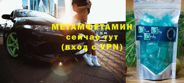 сатива Бородино