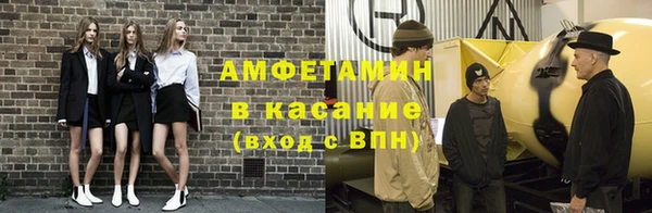 сатива Бородино