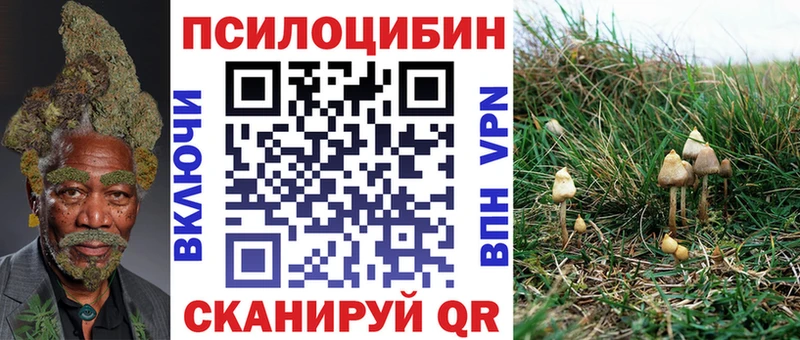 Псилоцибиновые грибы прущие грибы  Гусев 