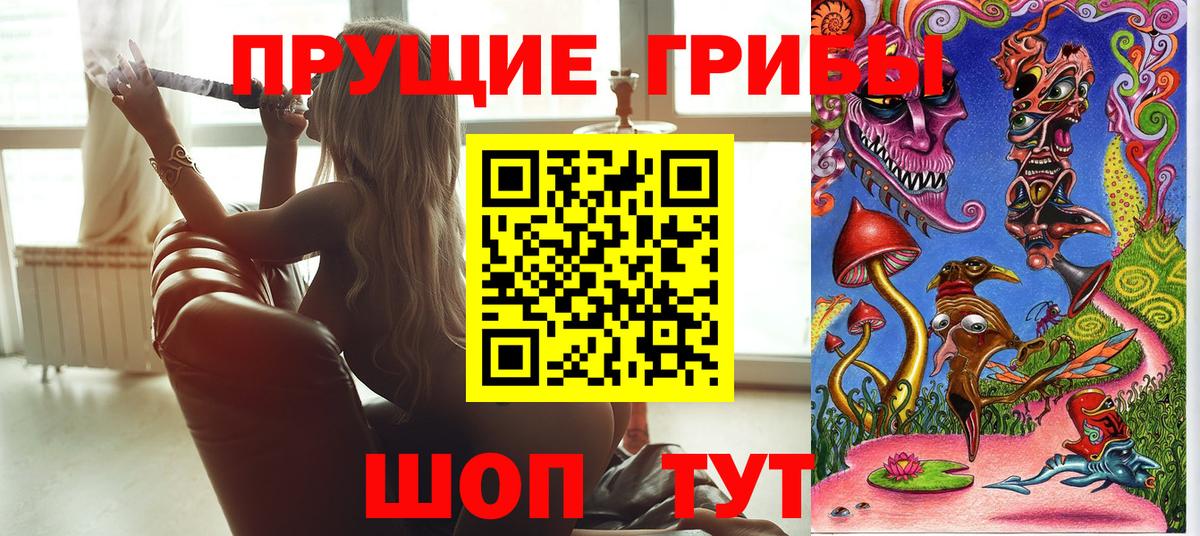 Псилоцибиновые грибы мицелий Гусев